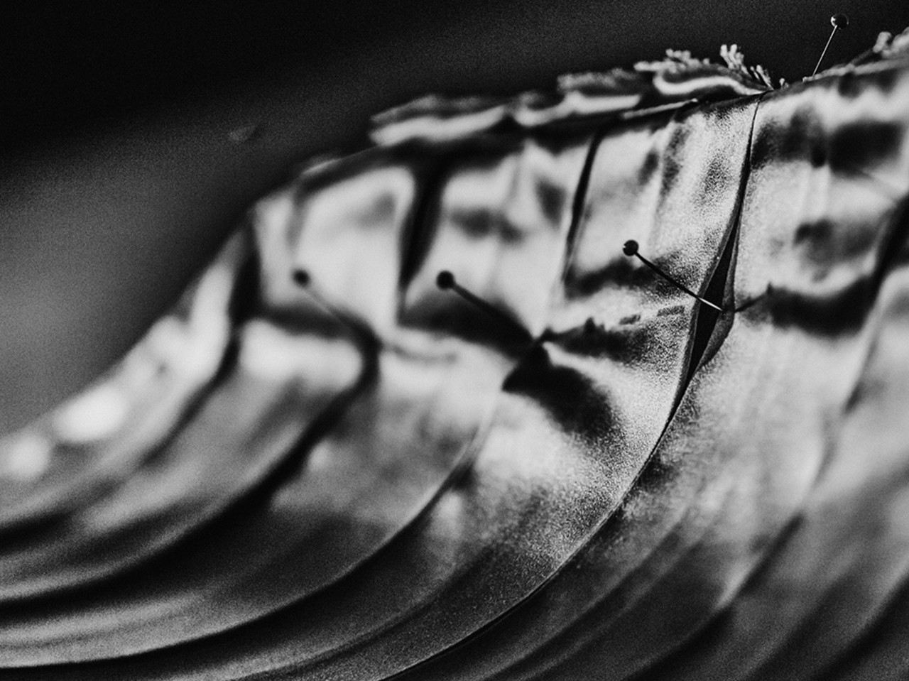 Atelier Invenio Flory